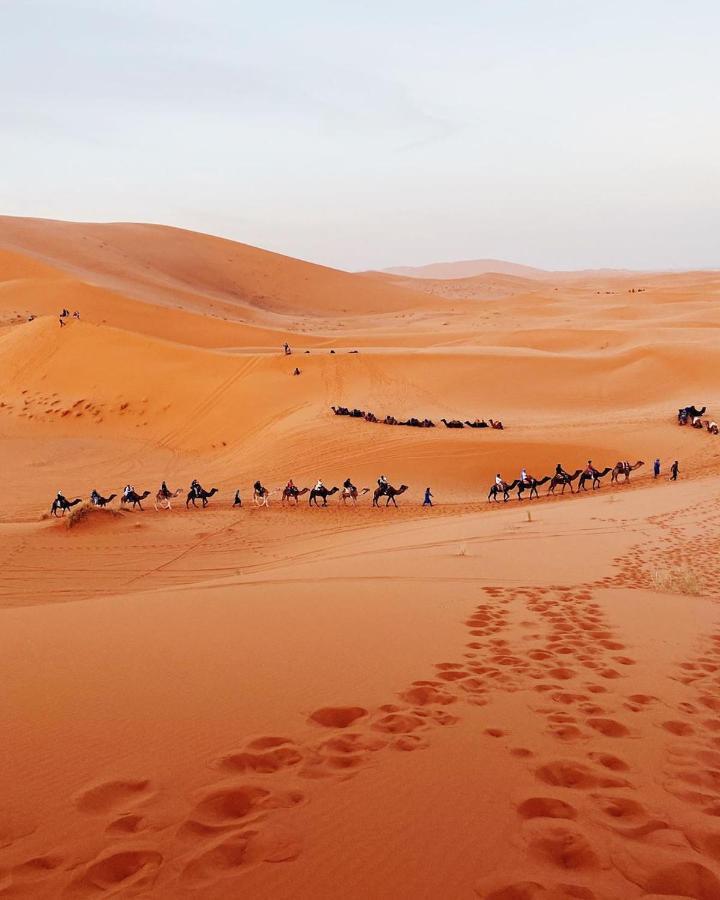 Camel Trekking Desert Camp Luxury tent 5*